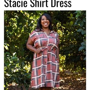 LuLaRoe Chambray Stacy Shirt dress